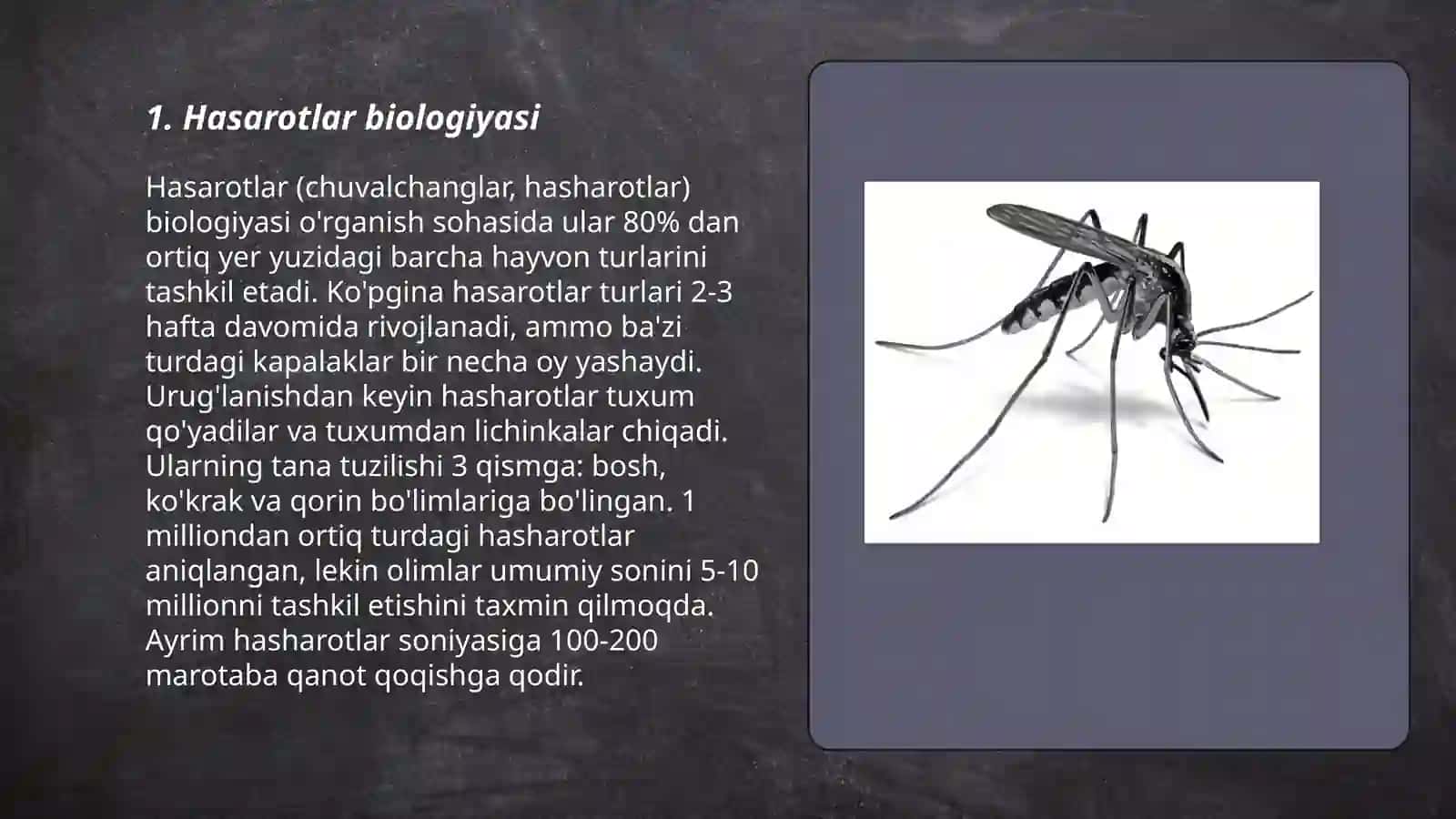 Parazitlik qiluvchi hashorotlar 3