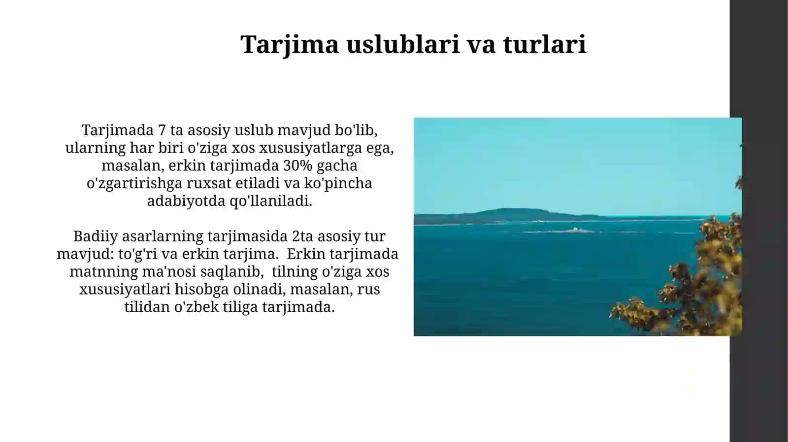Tarjima uslublari va turlari 3