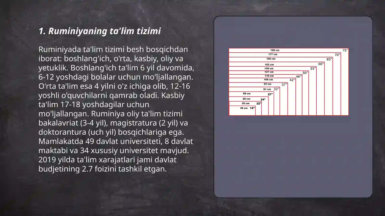 Ruminiyada Boshlang'ich ta'lim 3