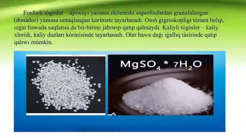 Tóginlew mashinaların internet maǵlıwmatları arqalı úyreniw 3