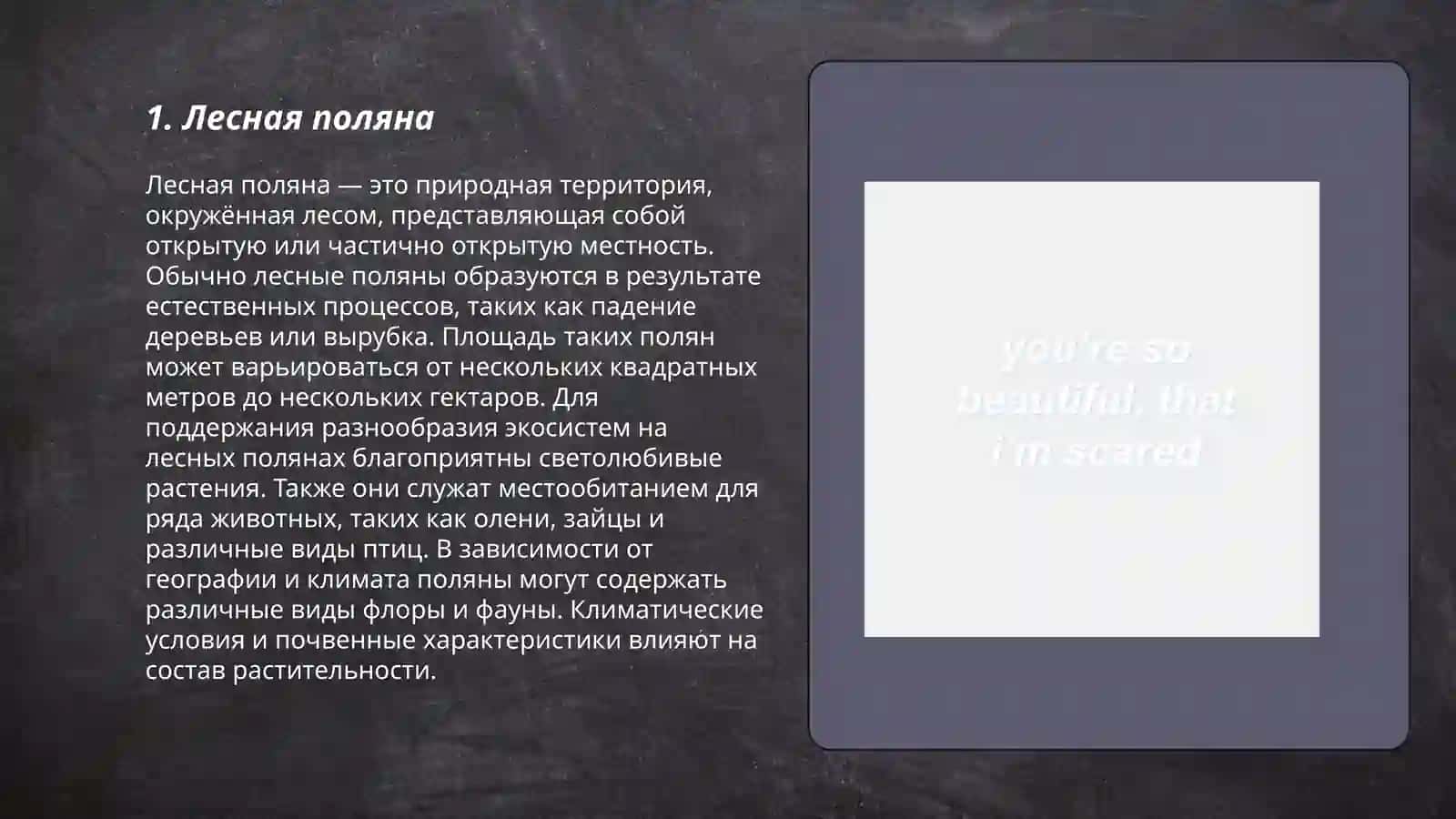 Лесная поляна 3