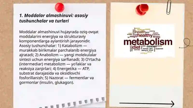 Moddalar almashinuvi: asosiy tushunchalar va turlari 3