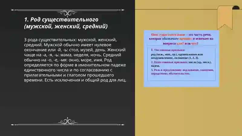 Род существительного 3