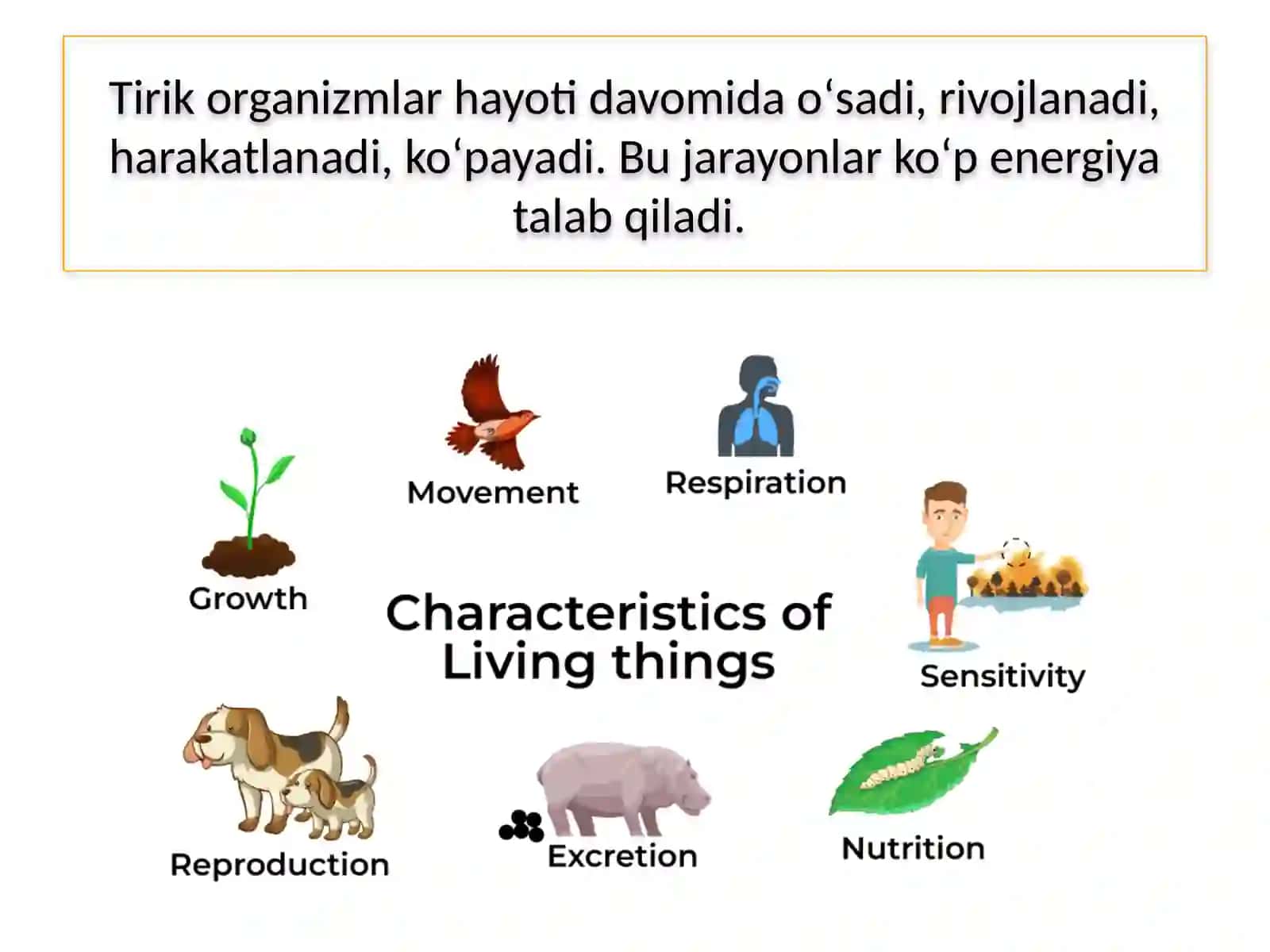 TIRIK ORGANIZM-LARNING OZIQLANISHI 3