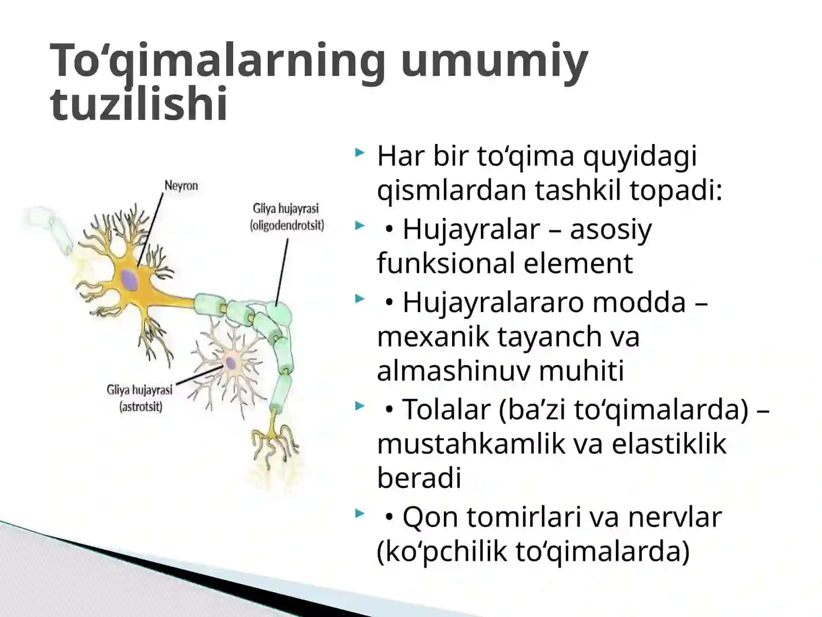Ko’p tarmoqli tibbiyot texnikumi 3