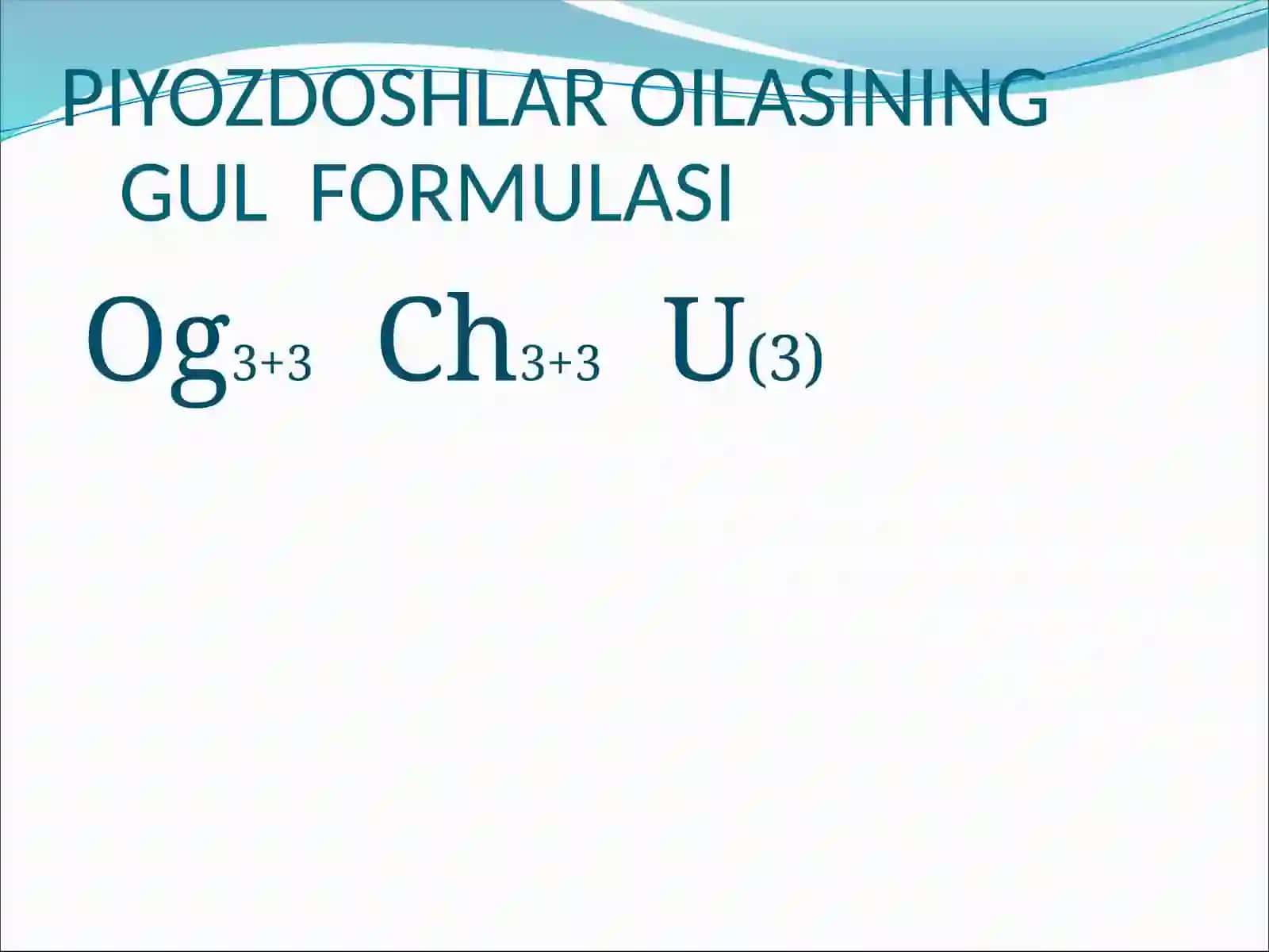 Piyozdoshlar oilasi 3