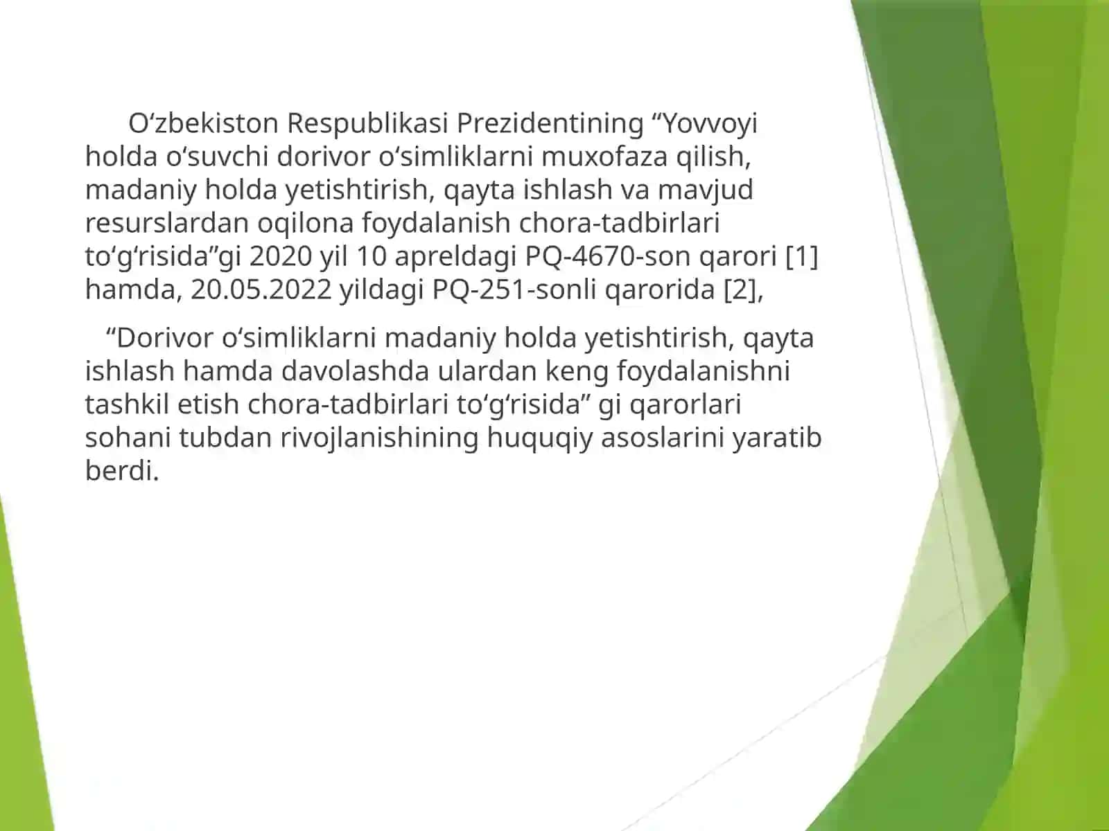 Achchiq SuvQalampir (Persiefria hydropiper) 3
