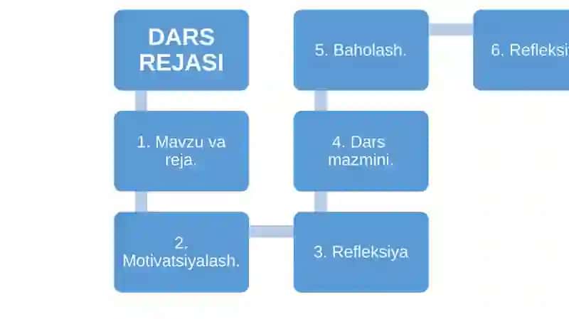 Umurtqalilarning Qon aylanish tizimi 3
