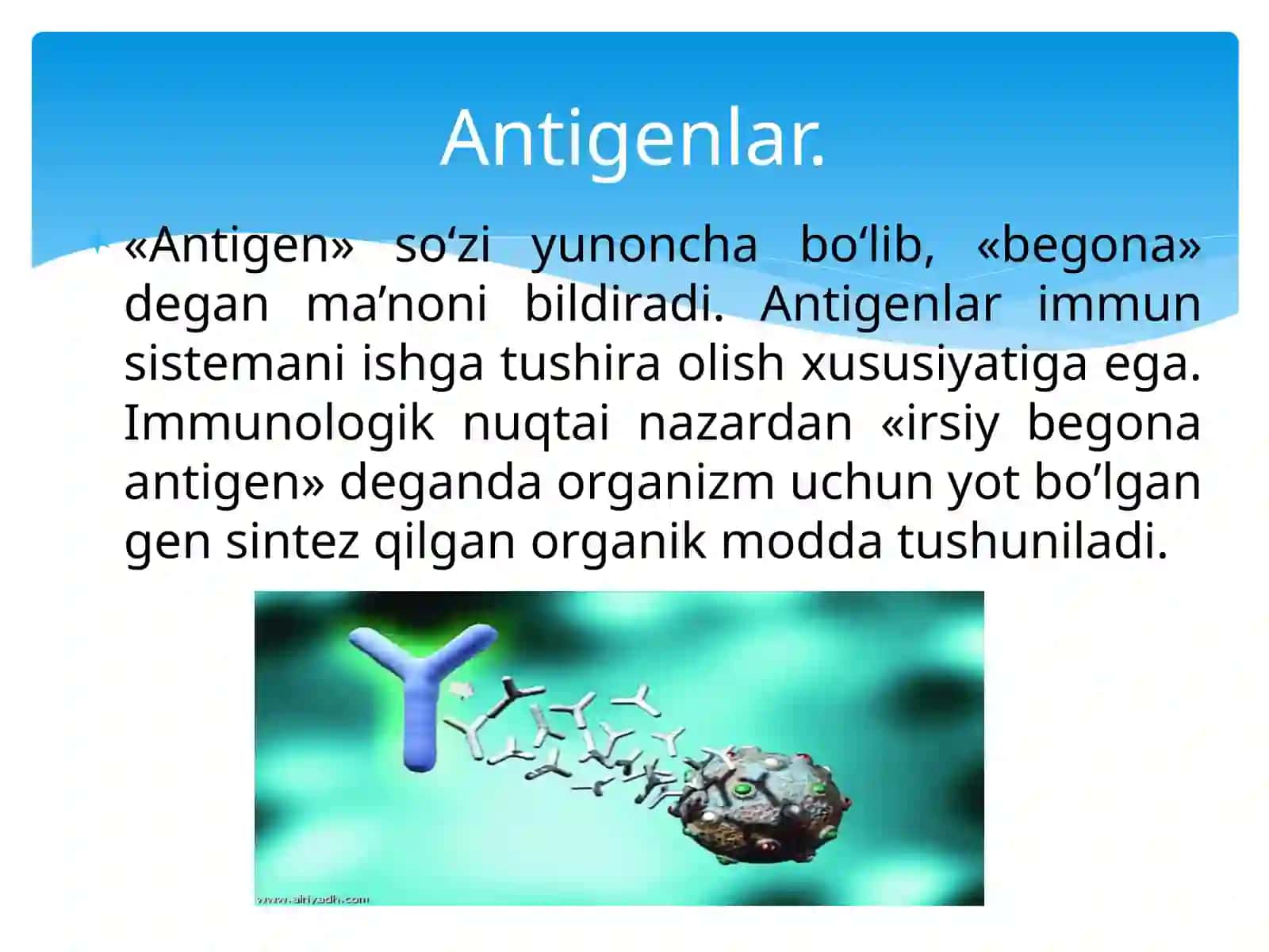 Antigenvaantitela 3