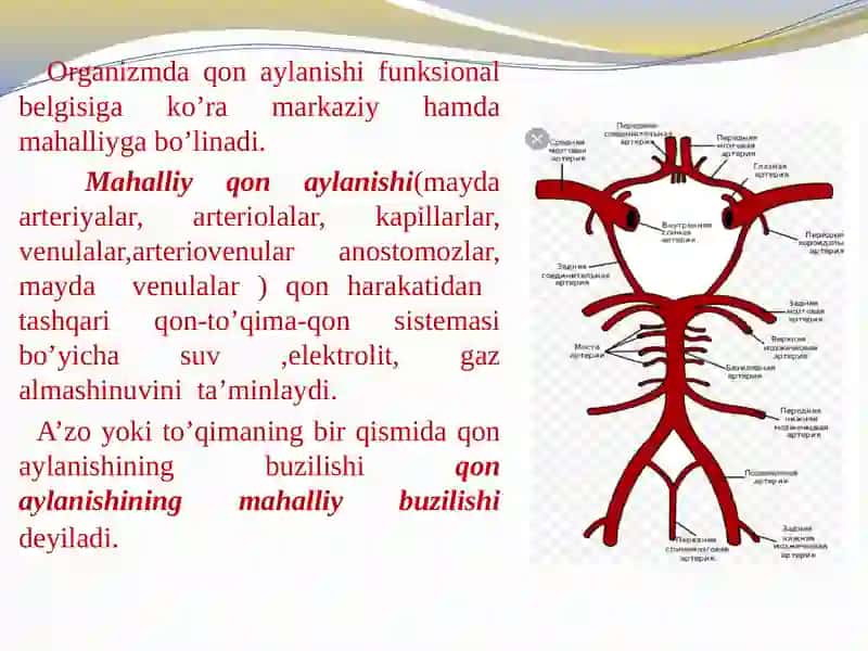 Mahalliy qon aylanishi buzilishlari 3