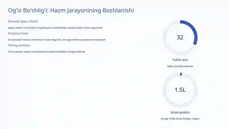 Ovqat Hazm Qilish Tizimi 3