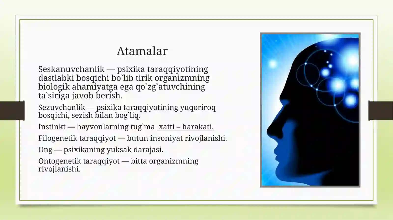 Psixikaning filogenetik taraqqiyoti 3