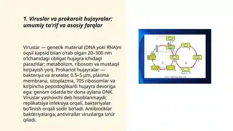 Viruslar va prokaroit hujayralar 3