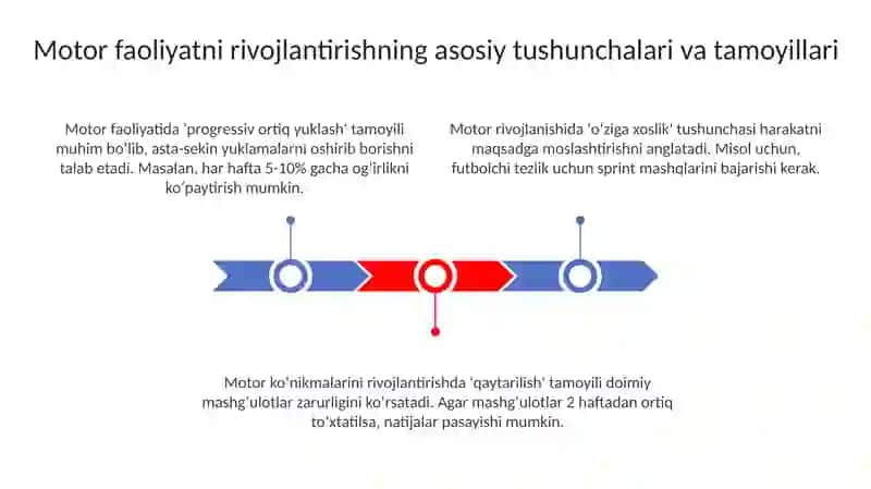 Motor faoliyatni rivojlantirish metodikasi 3