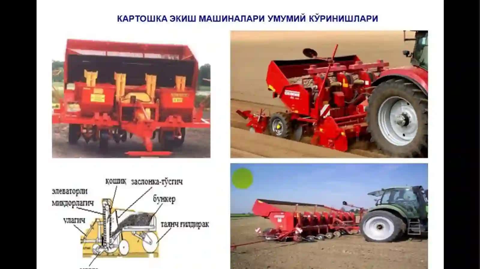 Kartoshkachilik fanidantayyorlagan taqdimot 3