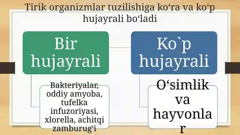 TIRIK ORGANIZMLARNING TUZILISHI 3