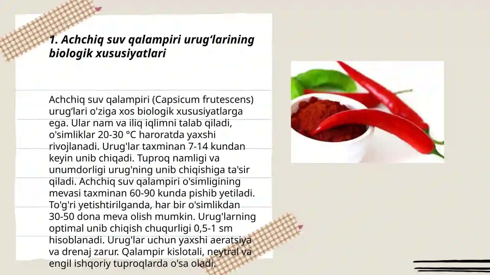 Achchiq suv qalampiri oʻsimligining urugʻchiligi 3