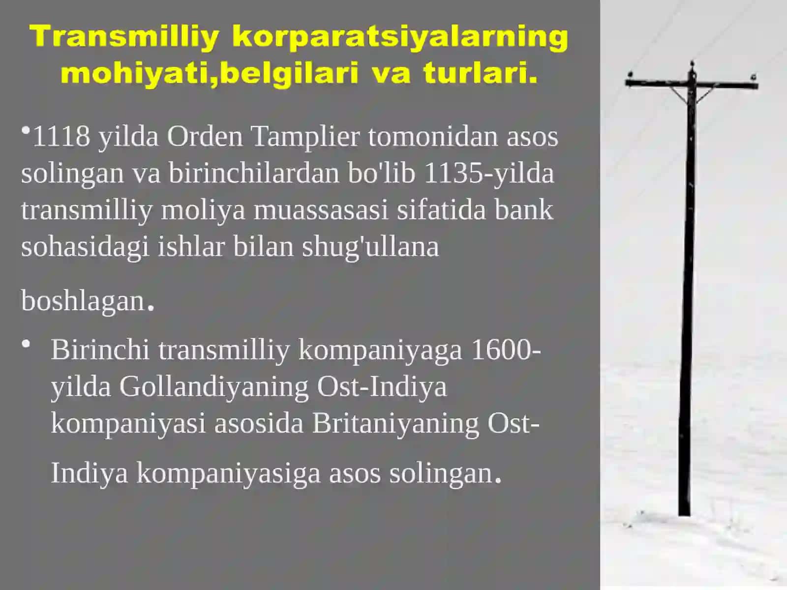 Glaballashuv sharoiti da transmilliy korparatsiyalar 3