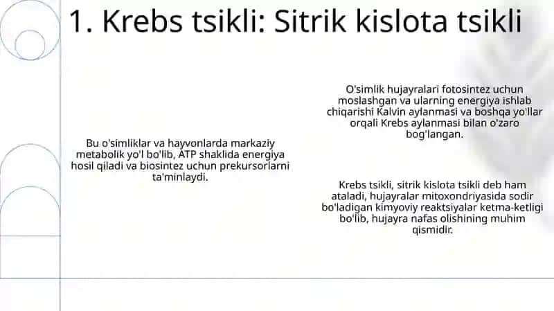 O'simlik hujayrasining energetikasi haqida 3