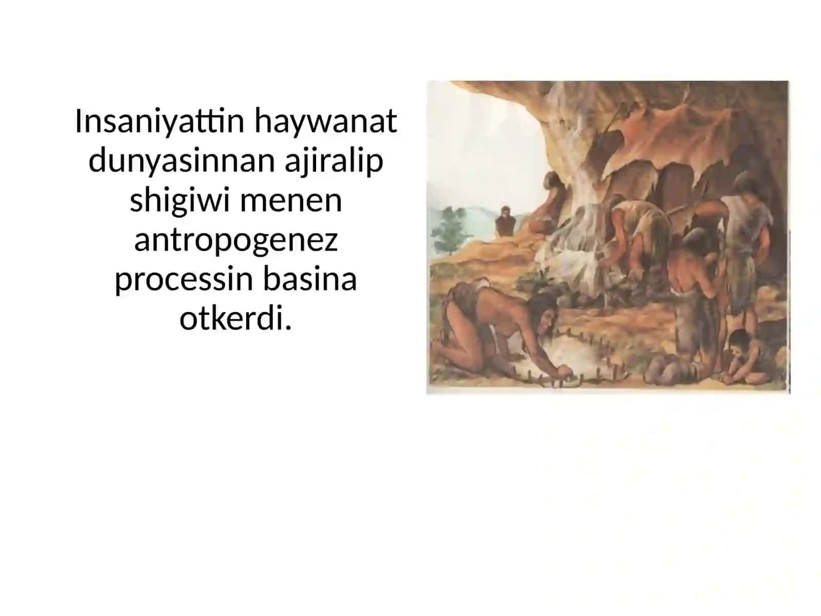 Insan evoluciyasi 3