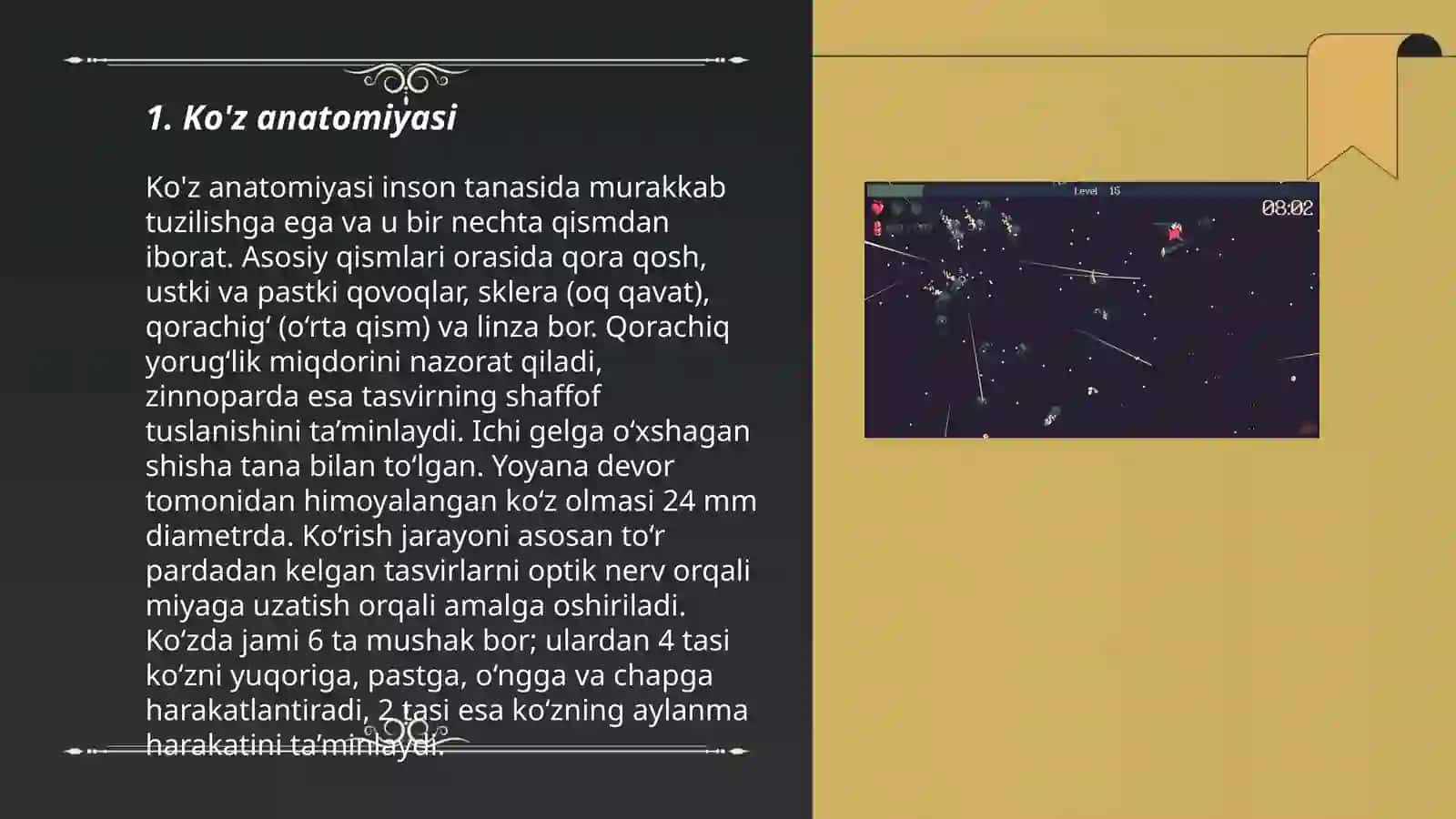 Ko'z anatomiyasi 3