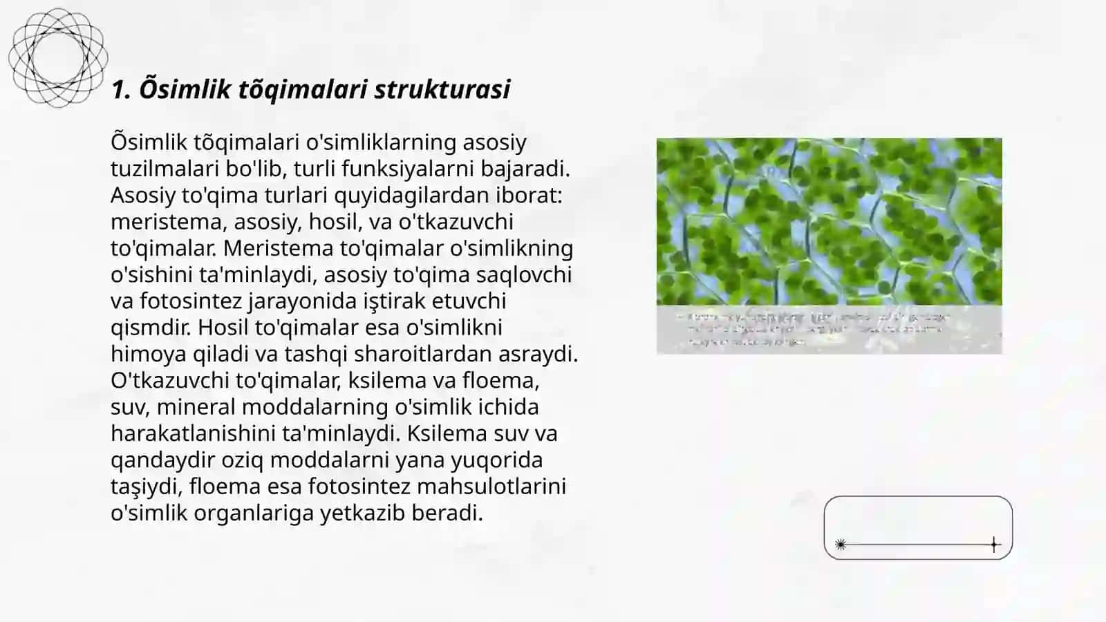 Õsimlik tõqimalari 3