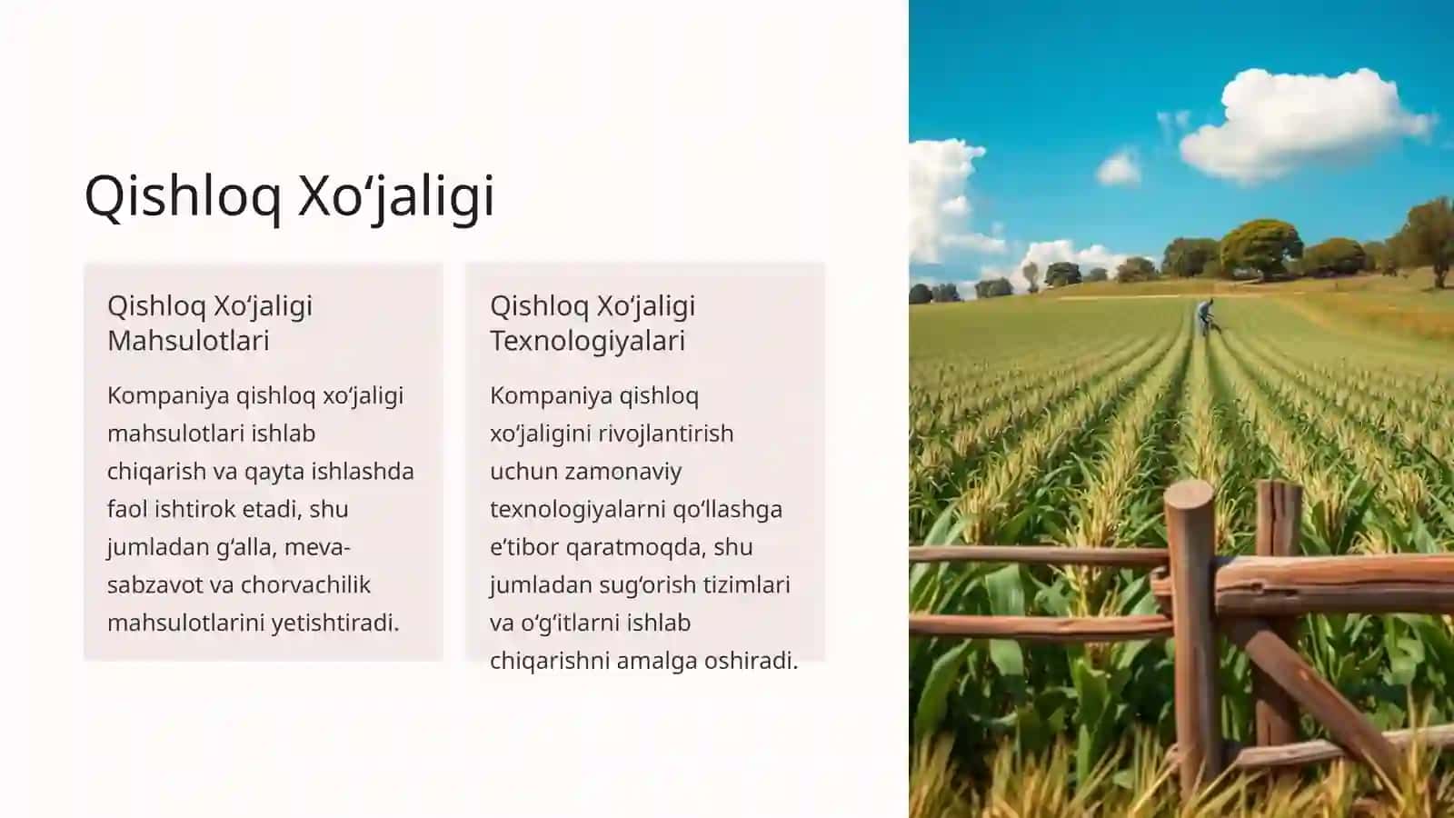 Kompaniya Portfelining Tahlili 3