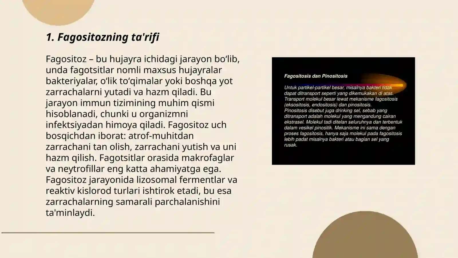 Fagositoz jarayoni 3