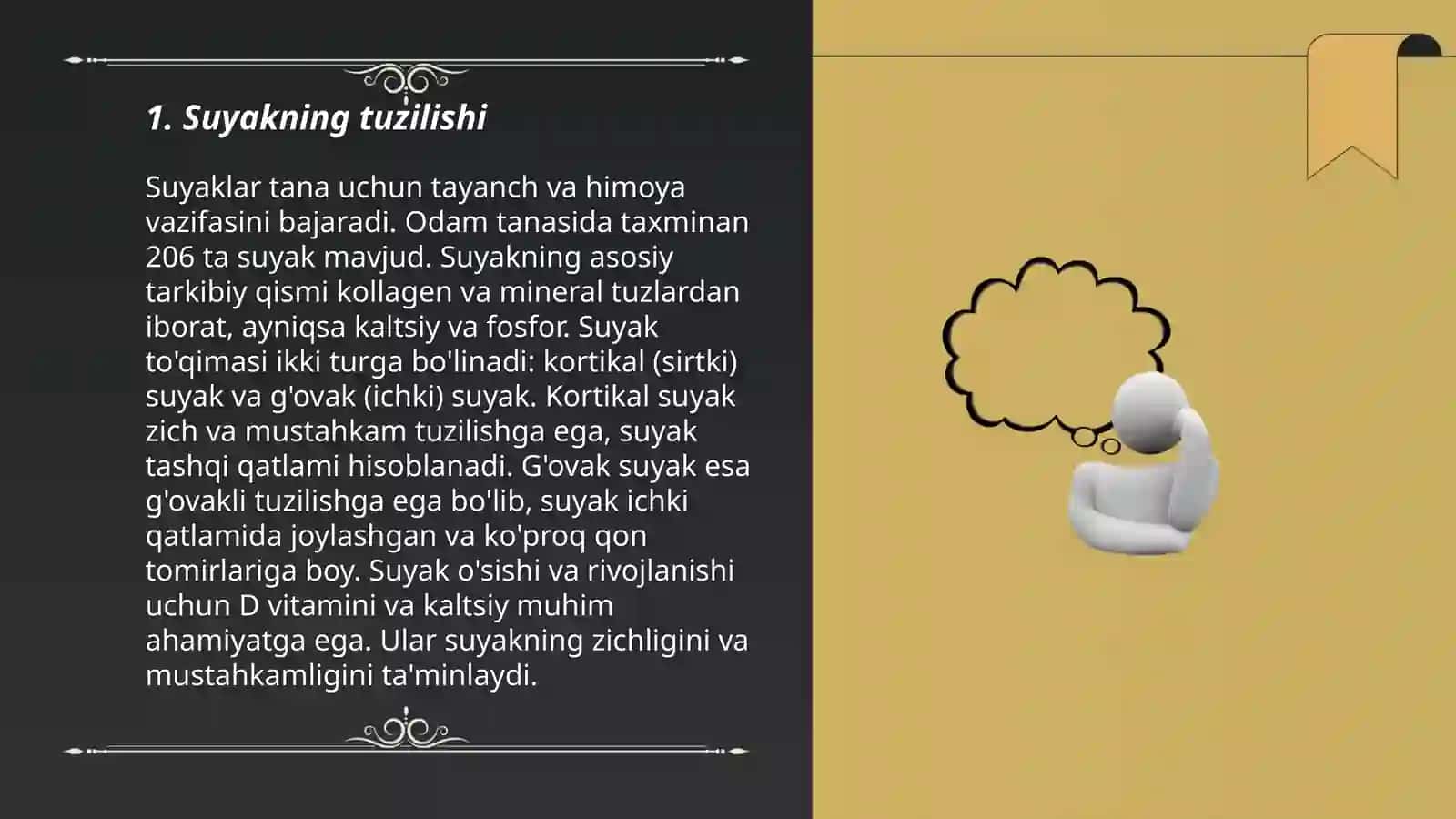 Suyak - togʻa toʻqimasi 3