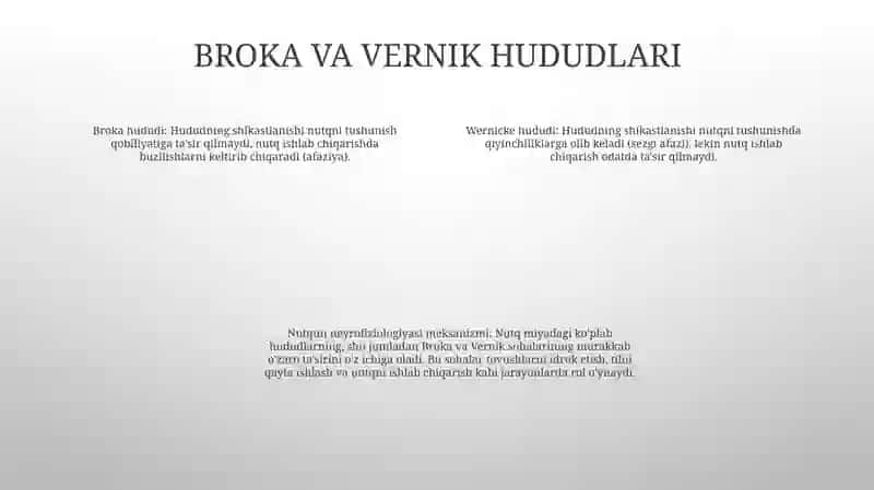 Nutqning Neyrofiziologik Mexanizmlari 3