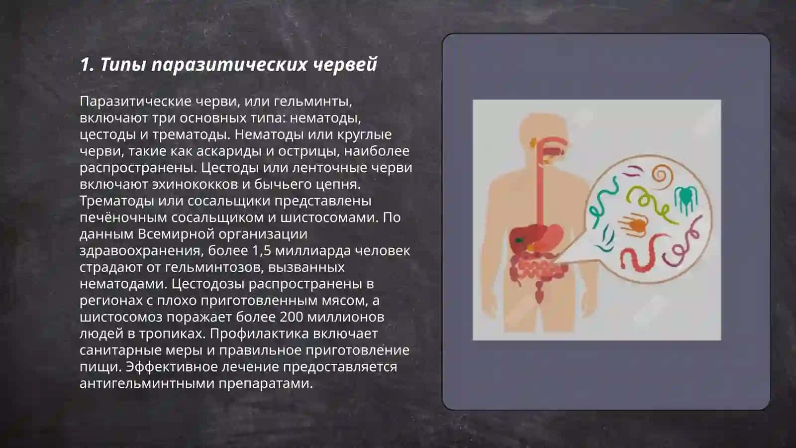 Паразитические черви 3