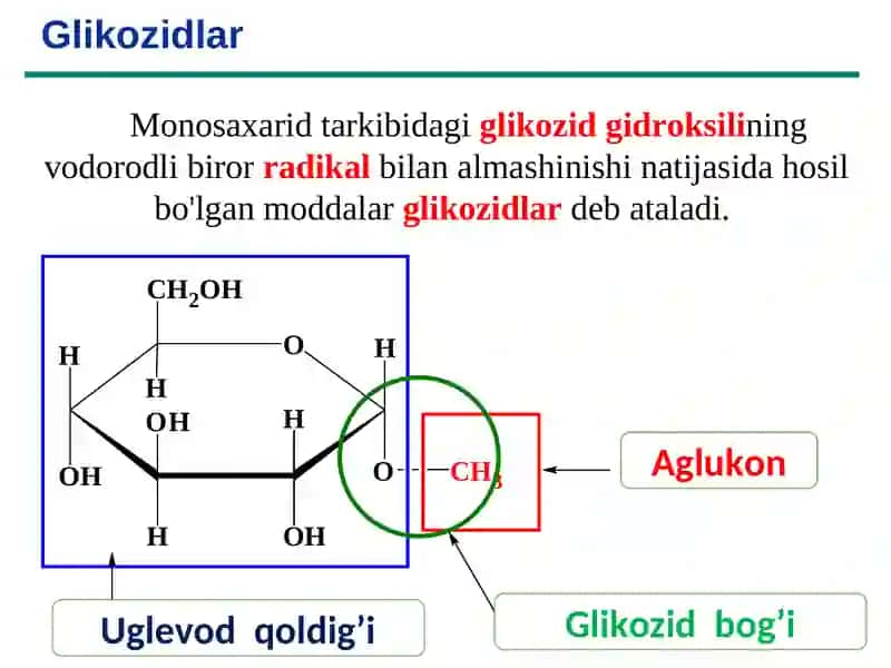 Glikozidlar 3