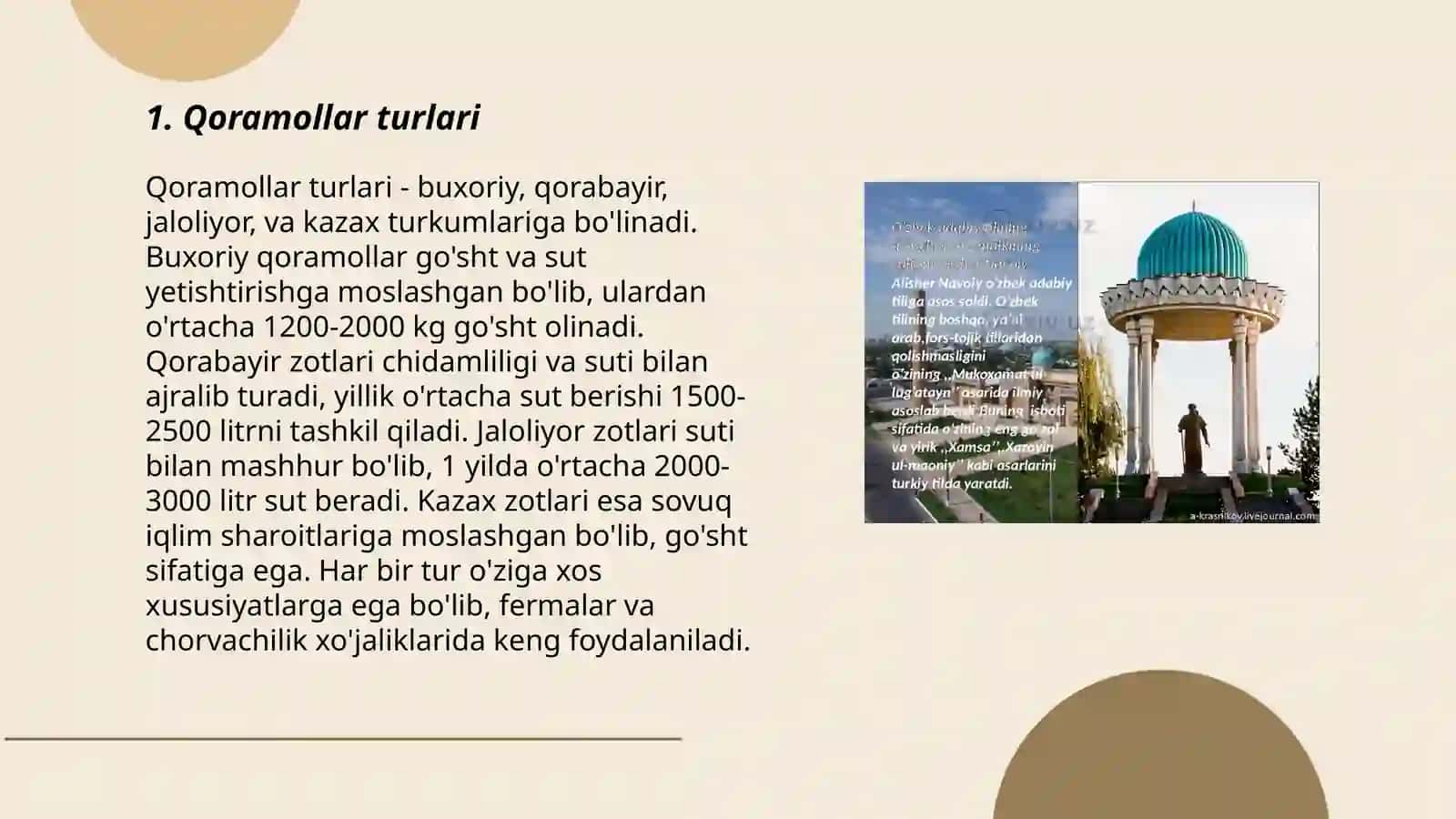 Qoramollar turlari 3