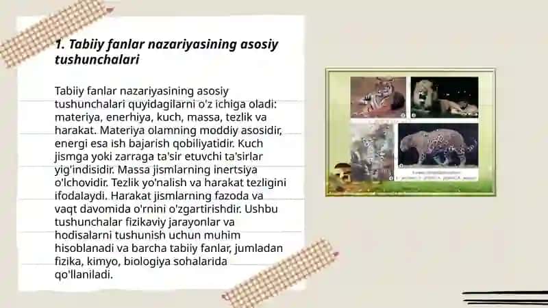 Tabiiy fanlar nazariyasi gerbariy o'simlik hayvonot olami xarita sxemasi ekologik madaniyat 3