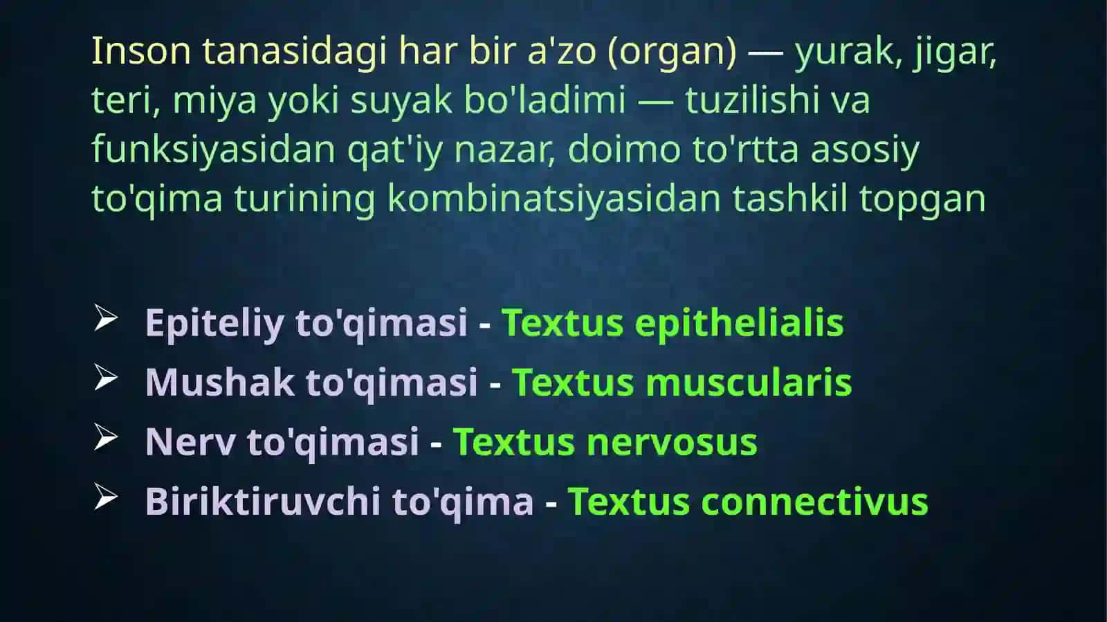 To'qimalar haqida tushuncha 3