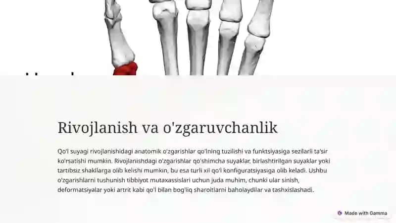 QO'L SUYAKLARI ANATOMIYASI 3