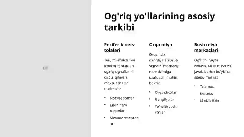 Og'riq Yo'llari Anatomiyasi 3
