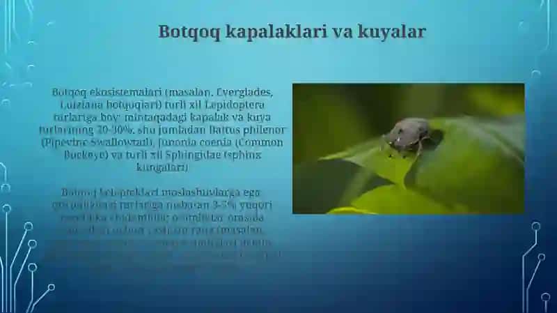 Botqoq Hayotga Moslashishlar 3