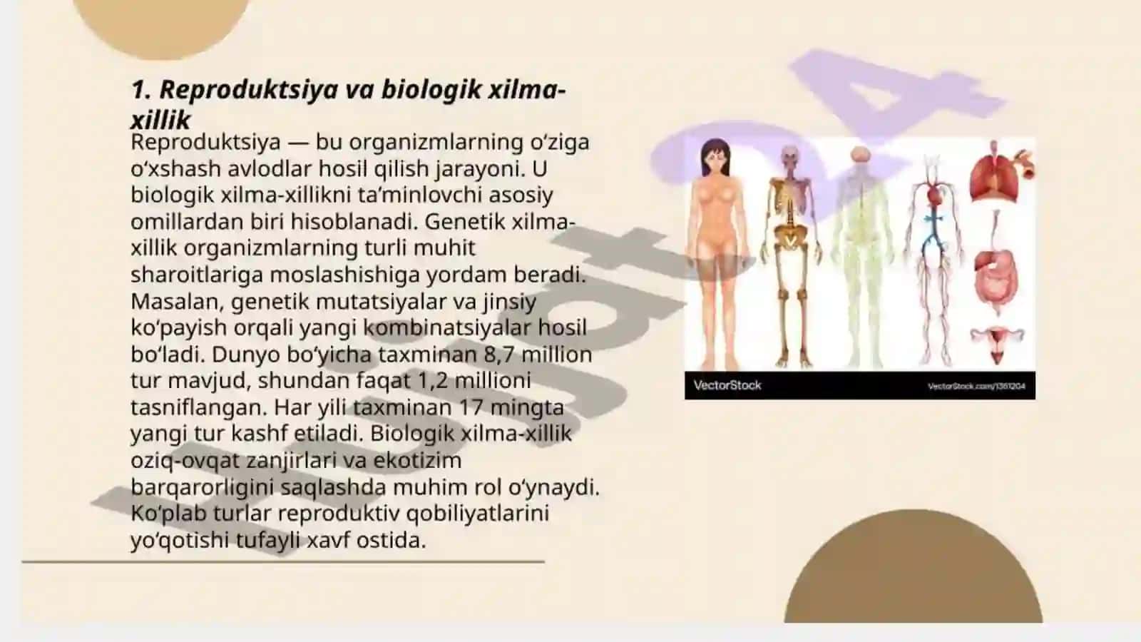 Ko'p tarmoqli tibbiyot texnikumi 3