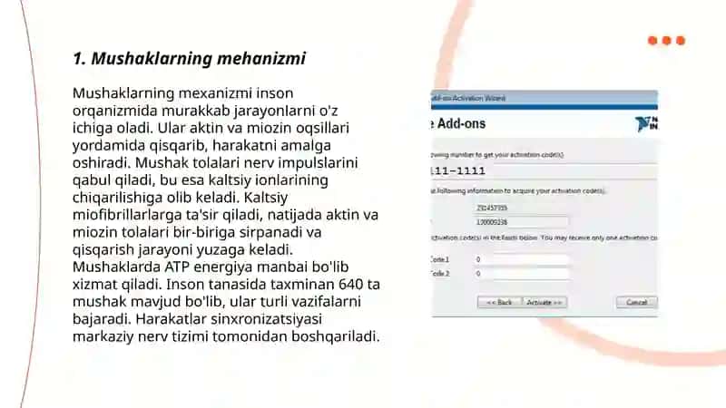 Mushaklarning faollashishi va elektr faolligi 3
