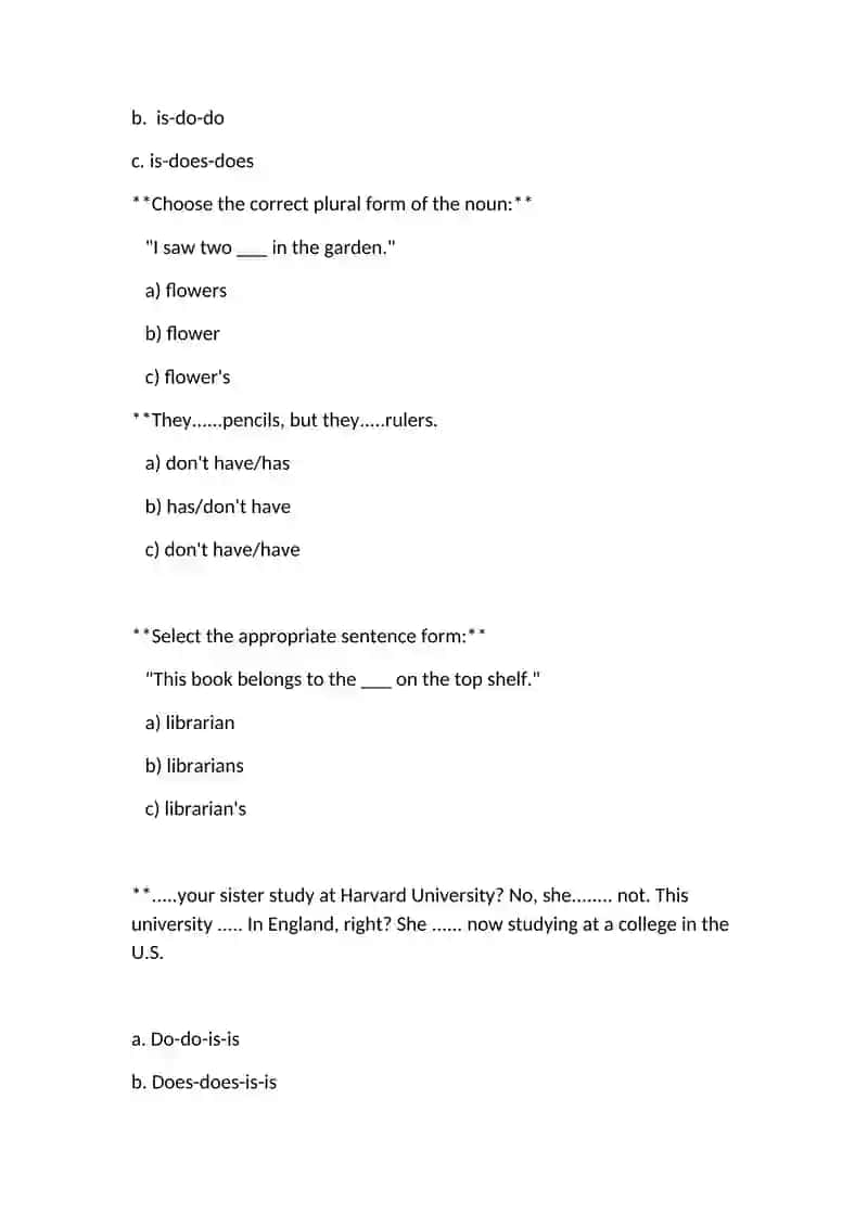 Correct Form of Verbs and Plurals 3
