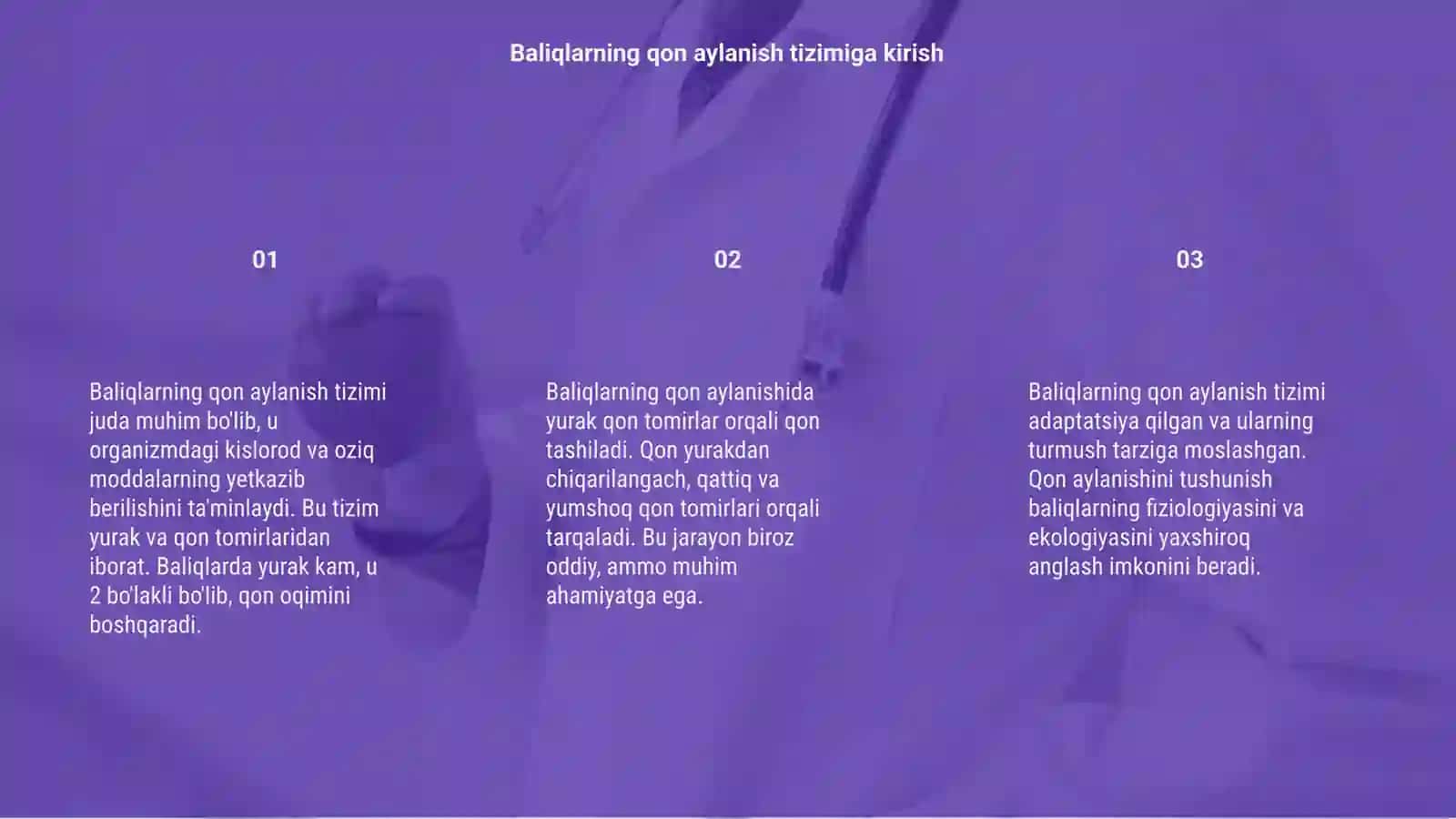 Baliqlarning qon aylanish tizimi 3