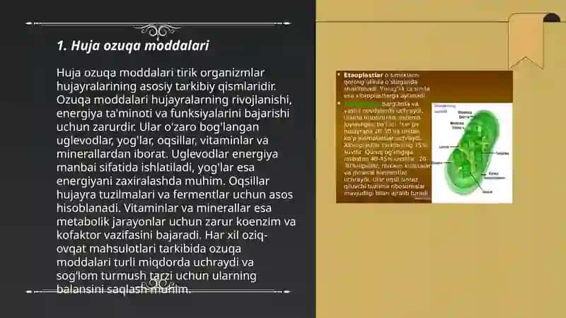 Hujayraning kimyoviy tarkibi 3