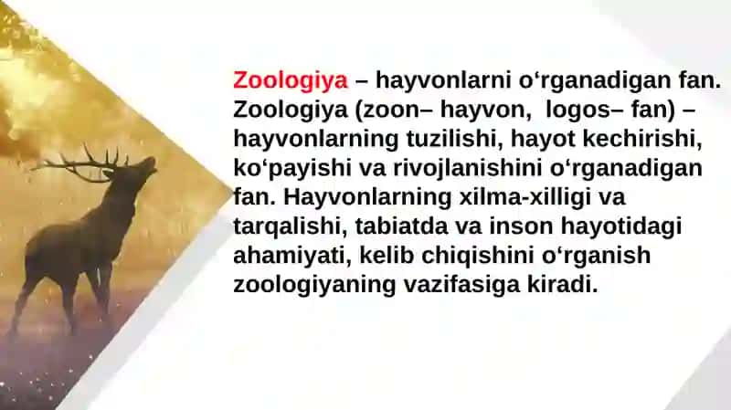 Hayvonlarning tuzilishi va funksiyasi 3