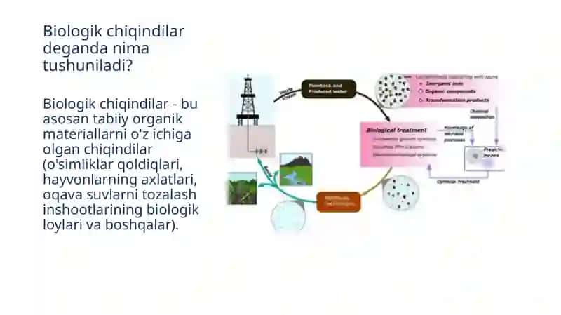 Bakteriyalarda fermentativ jarayonlar 3