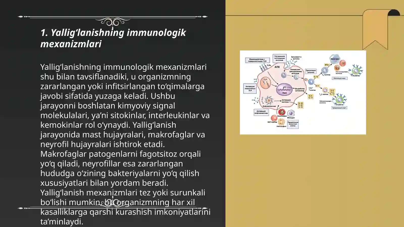 O'smadan muhofazalanishning immunmexanizimlari 3