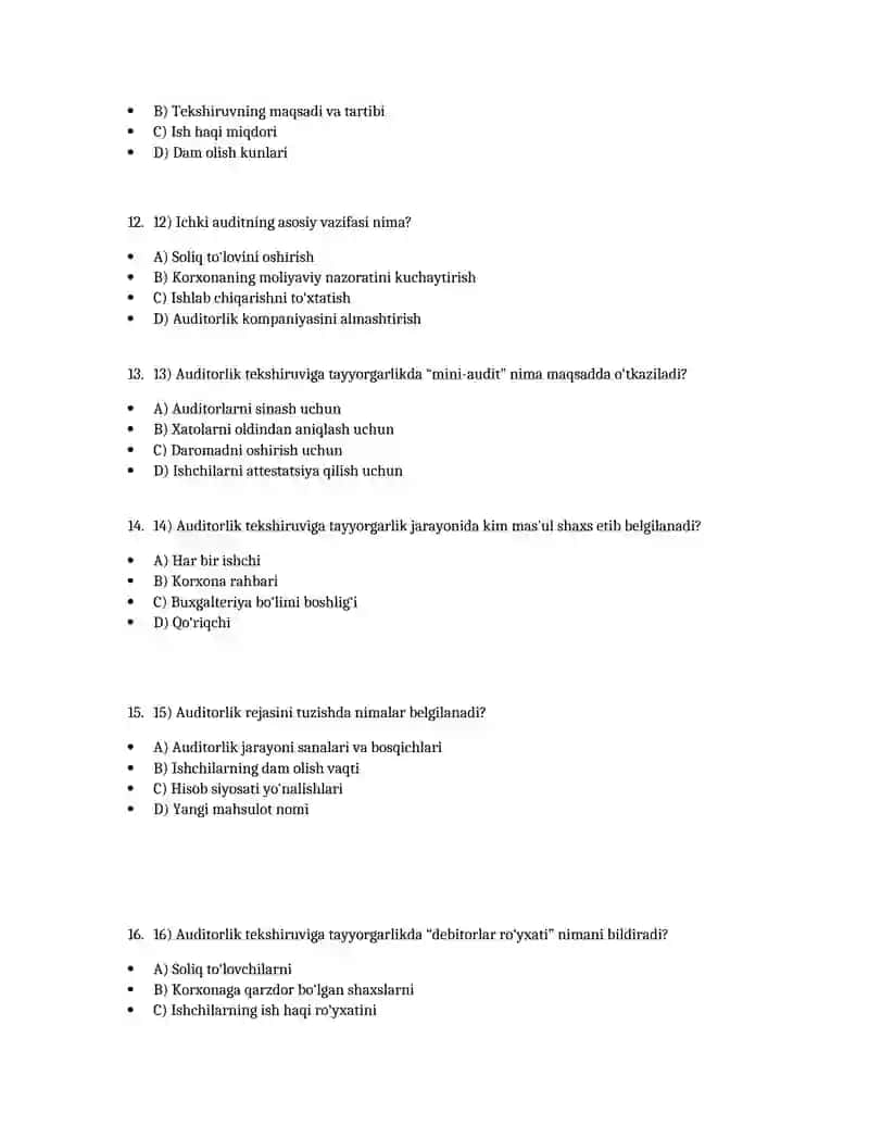 Auditorlik tekshiruvi 3