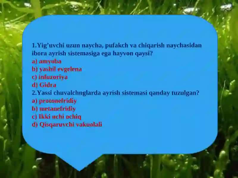 Hayvonlar jinsiy organlarining evolyutsiyasi 3