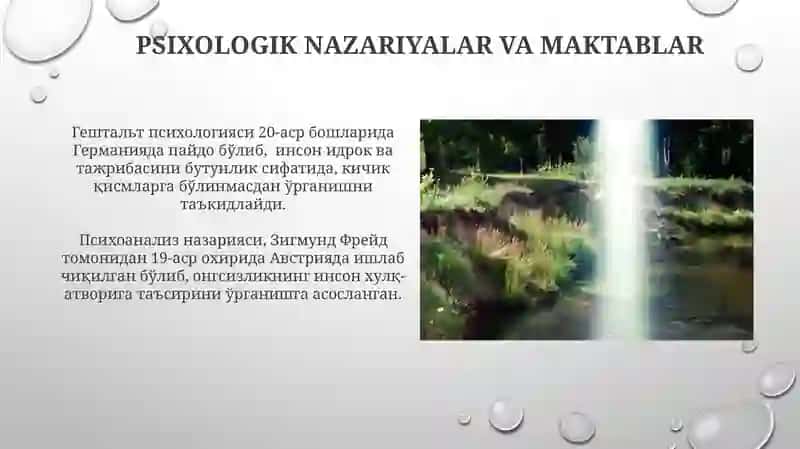 Psixikasini oʻrganish prisiplari 3