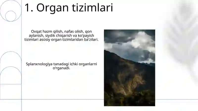 Splanxnologiya asoslari 3